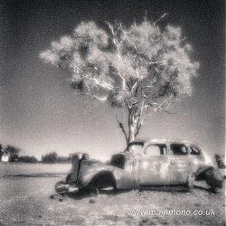 Abandoned Car and Gum Tree, Outback NT, Australia